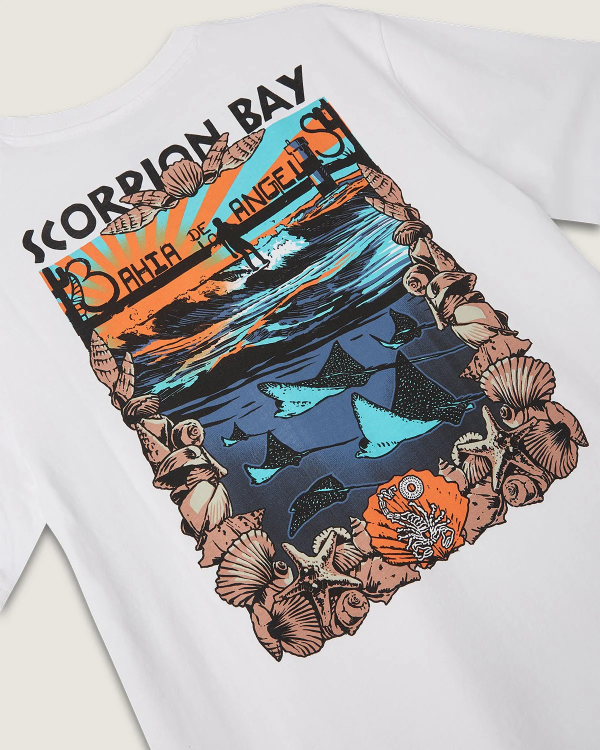 T-shirt stampata "Baja Tour: Bahia" uomo - Image 3