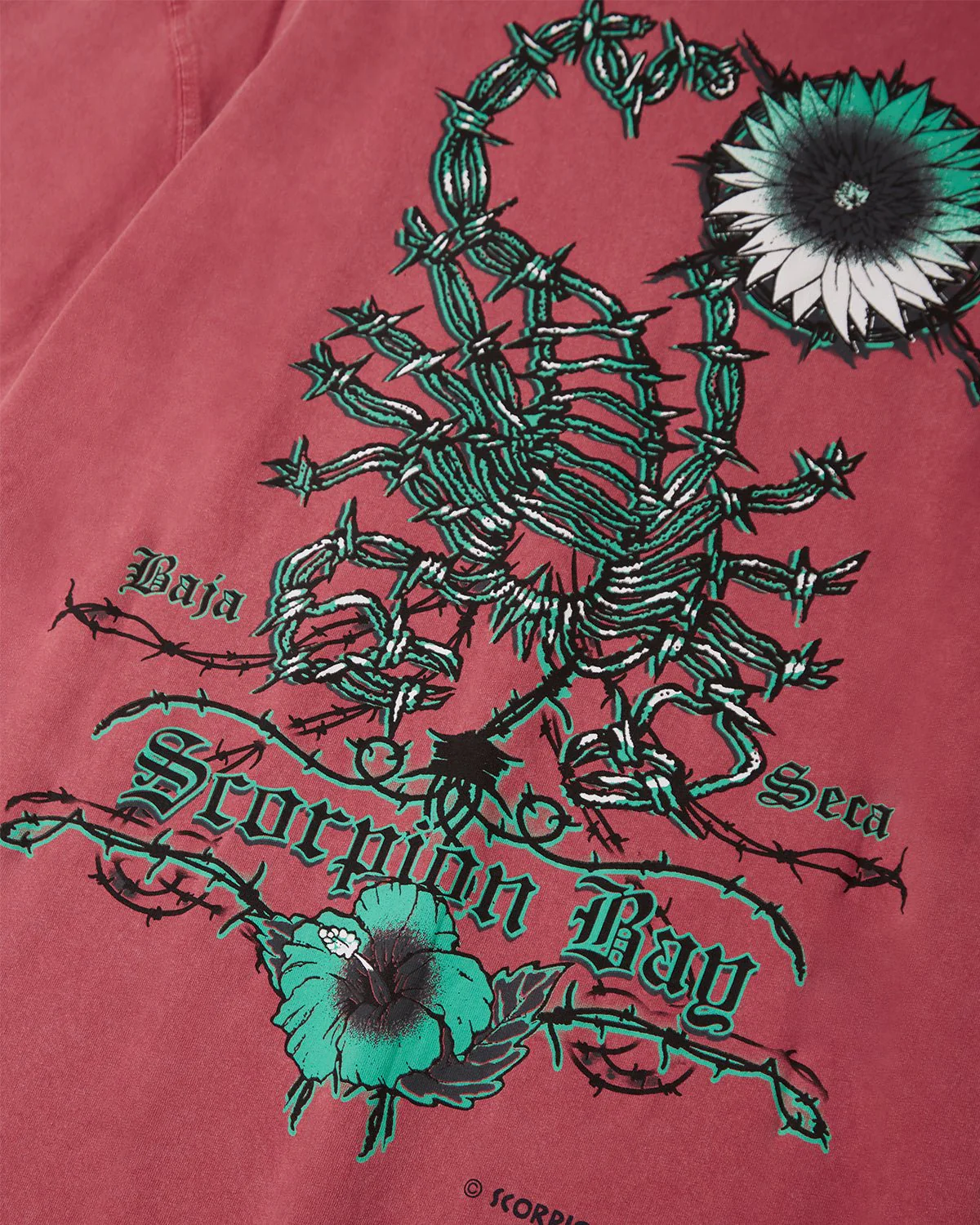 T-shirt d'archivio "Scorpion Wire" uomo - Image 5